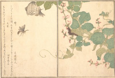 Papirveps Hachi, Hairy Caterpillar Kemushi..., 1788. av Kitagawa Utamaro