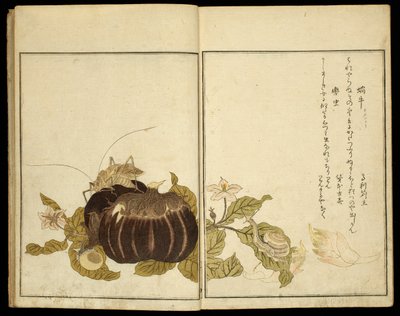  av Kitagawa Utamaro