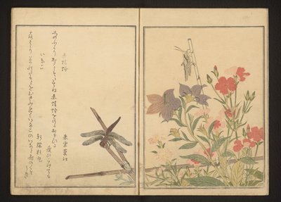 Rød øyenstikker og gresshoppe av rosa av Kitagawa Utamaro