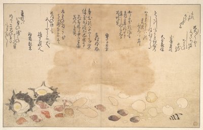  av Kitagawa Utamaro