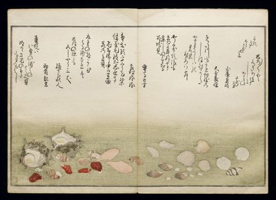 Shiohi no tsuto (Gaver fra Ebb Tide), kjent som Shell Book, 1789 (farget treblokktrykk) av Kitagawa Utamaro