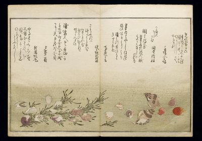 Shiohi no tsuto (Gaver fra Ebb Tide), kjent som Shell Book, 1789 (farget treblokktrykk) av Kitagawa Utamaro
