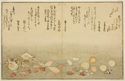 Shiro-gai, namima-gashiwa, makura-gai, iro-gai, aza-gai, sadae-gai, fra den illustrerte boken "Gaves from the Ebb Tide (Shiohi no tsuto)" av Kitagawa Utamaro
