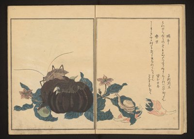 Snegl og bråkete cricket på aubergine av Kitagawa Utamaro