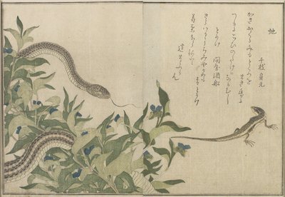 Snake and Lizard, 1788 (treblokktrykk i farger) av Kitagawa Utamaro