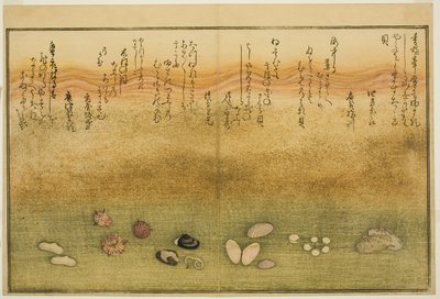 Sudare ute, blomst ute, kirsebærblomst ute, ingen agat, nadeshiko utenfor, idea d Kinuta utenfor, fra tee st latte bracts of the tidevann)" av Kitagawa Utamaro