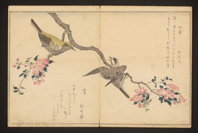 Meis og buskasanger av Kitagawa Utamaro