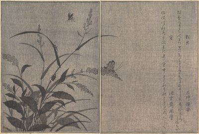 Trecricket Matsumushi, Firefly Hotaru..., 1788. av Kitagawa Utamaro