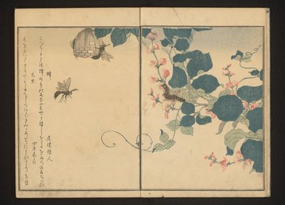 Veps og hårete larve på pilrot av Kitagawa Utamaro
