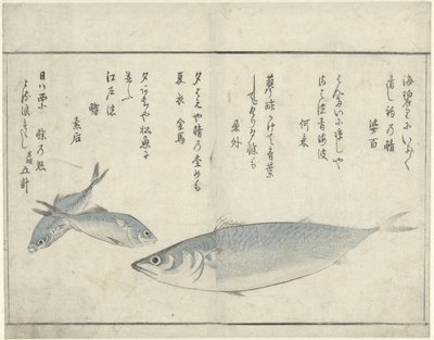Tre fisker av Kitao Masayoshi