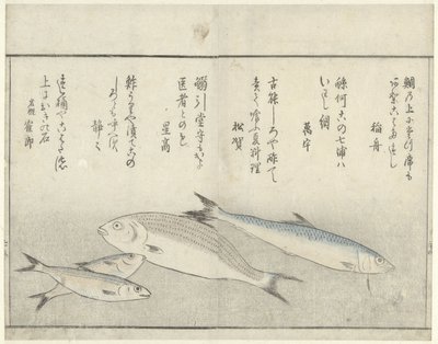Fire fisker av Kitao Masayoshi