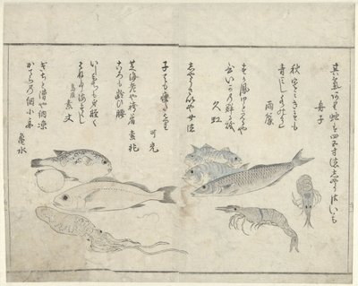 Sjødyr av Kitao Masayoshi