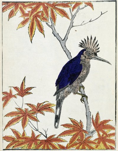 Fugl på et tre. Japansk tegning av Kitao Kosuisai av Kitao Shigemasa