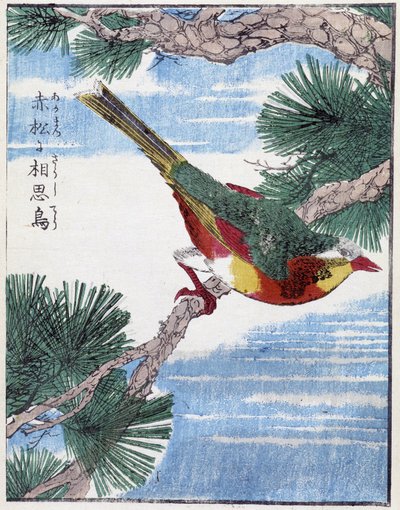 Fugl på et tre. Japansk tegning av Kitao Kosuisai av Kitao Shigemasa