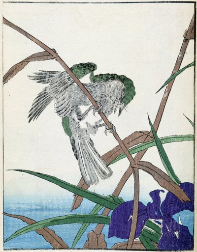 Fugl på et tre. Japansk tegning av Kitao Kosuisai av Kitao Shigemasa