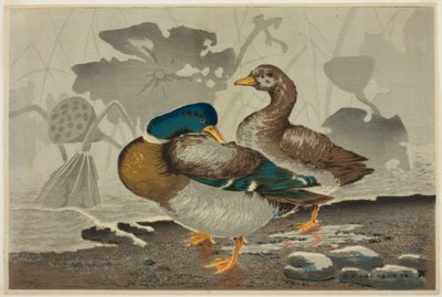 Et par ender ved en lotusdam av Kiyochika Kobayashi