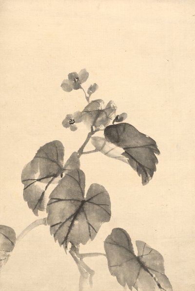 Gren av Begonia i blomst. av Kono Bairei