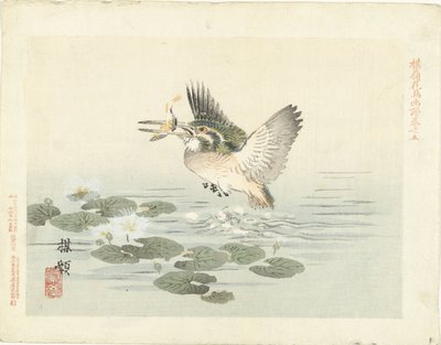 Kingfisher Baireis blomster- og fugleskisser (serietittel) Barei kacho gafu (serietittel på objekt) av Kono Bairei