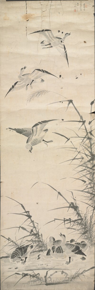 Villgås og siv av Korea, Joseon dynasty