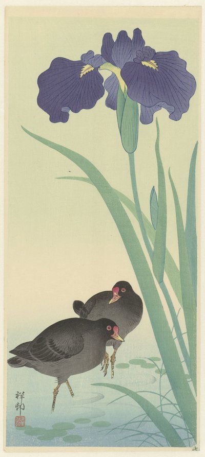 Morhøner og iris (fargetresnitt) av Ohara Koson