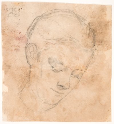 Kunstnerens søster Elizabeth. 3/4 profil til høyre av Kristian Zahrtmann