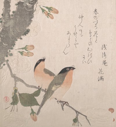Bullfinches and Cherry Blossoms, 1800-tallet. av Kubo Shunman