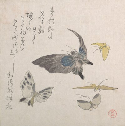 Sommerfugler, 1800-tallet. av Kubo Shunman
