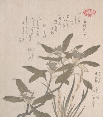 Daphne Odora og Mojisuri-so, 1800-tallet. av Kubo Shunman