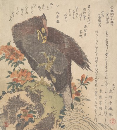 Eagle on a Rock, blomstrende asaleaer, ca. 1800. av Kubo Shunman