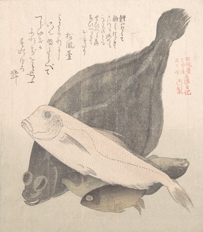 Flyndre og andre fisker, 1800-tallet. av Kubo Shunman
