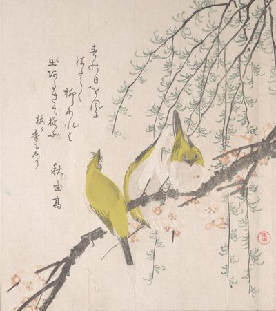 Japanske hvite øyne med plommetre og pil..., ca. 1810. av Kubo Shunman