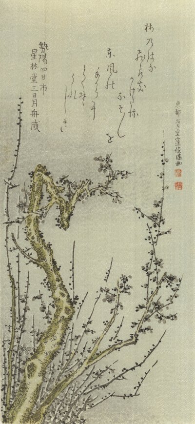Gammelt plommetre, 1796. av Kubo Shunman