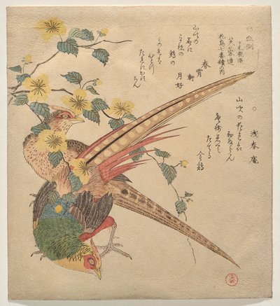 Et par kinesiske fasaner og en gren av yamabuki-blomster av Kubo Shunman