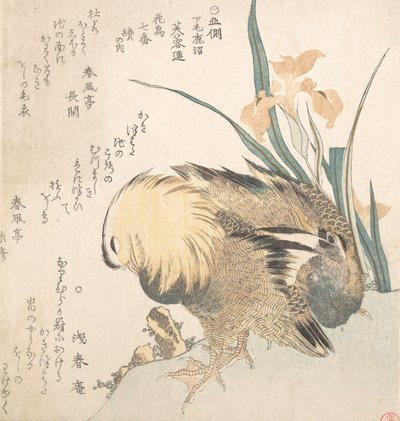Par mandarinender og irisblomster, sent på 1700-tallet - begynnelsen av 1800-tallet. av Kubo Shunman