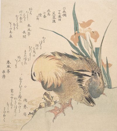 Par mandarinender og irisblomster, sent på 1700-tallet - begynnelsen av 1800-tallet. av Kubo Shunman