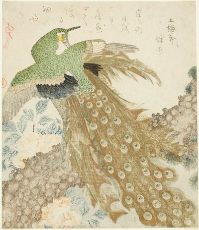 Peacock, Pine Tree og Peonies, fra serien "A Set of Three Petals (San hira no uchi)" av Kubo Shunman