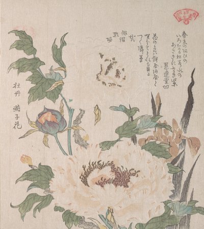 Peoner og Iris, 1800-tallet. av Kubo Shunman