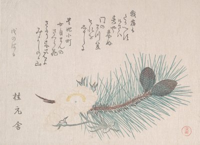 Furu og kirsebærblomster, sannsynligvis 1814. av Kubo Shunman