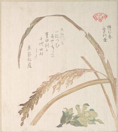  av Kubo Shunman