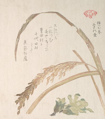 Rice Plant and Butter-Burs, 1800-tallet. av Kubo Shunman