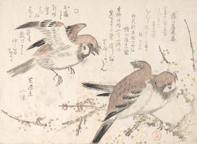 Sparrows and Plomme Blossoms, 1800-tallet. av Kubo Shunman