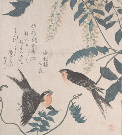Svaler og Wisteria, 1800-tallet. av Kubo Shunman