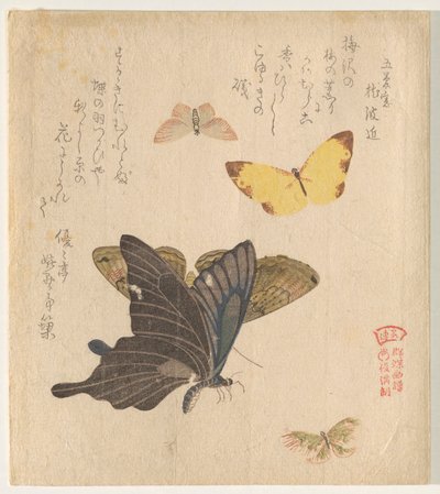 Malerhåndboken til Flock of Butterflies (Guncho? Gafu) av Kubo Shunman