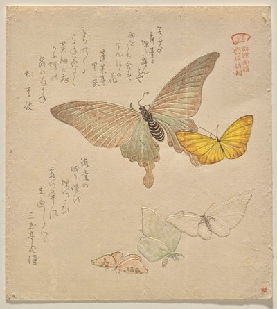 Malerhåndboken til Flock of Butterflies (Guncho? Gafu) av Kubo Shunman