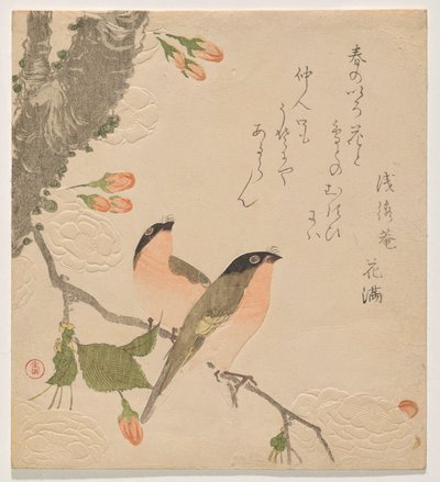 To oksefinker på et kirsebærtre med to blader (Uso ni Yae-zakura) av Kubo Shunman
