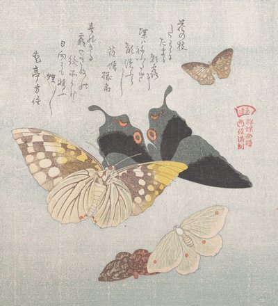 Ulike møll og sommerfugler, 1800-tallet. av Kubo Shunman