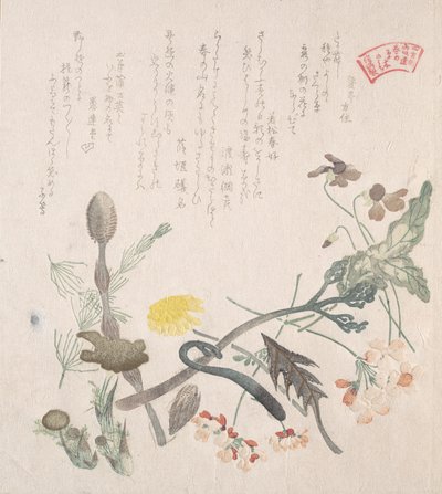 Fioler, Primroses og andre vårblomster, 1800-tallet. av Kubo Shunman