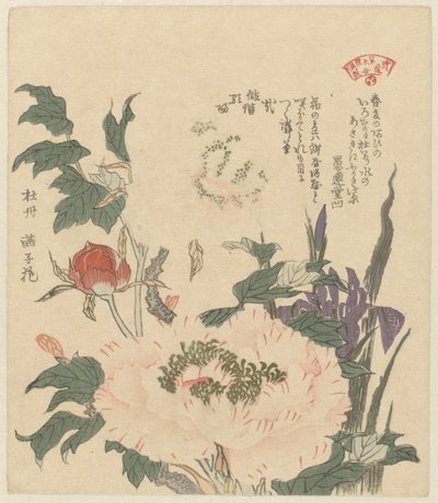 Pioenrozen en irissen Kakitsubata botan (title on object) Een selectie van planten voor de Kasumi dichtersvereniging (series title) Kasumiren sômoku awase (series title on object)   1363846   no       norwegian Successfully Translated  Original: Quail and  av Kubota Shunman