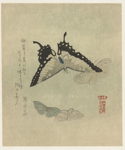 Fire sommerfugler En serie trykk med sommerfugler for Kasumi Poetry Society (serietittel) Kasumiren gunchô gafu (serietittel på objekt) av Kubota Shunman