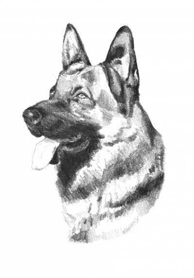  av Kulik